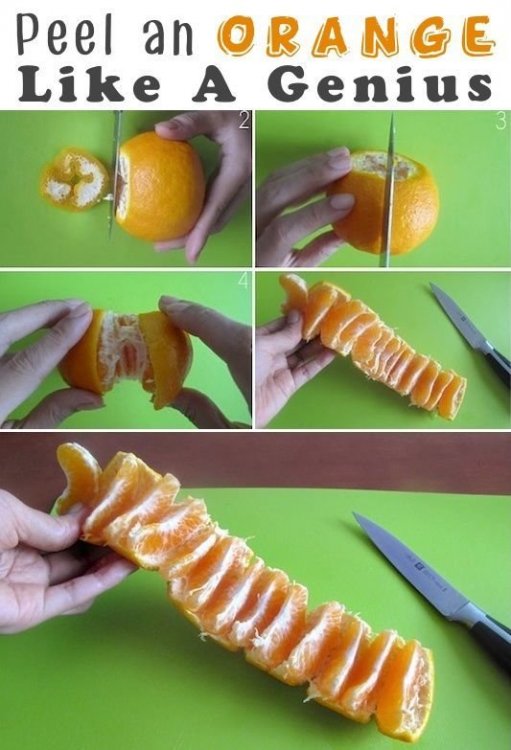 diy-life-hacks-crafts-peel-an-orange-like-a-genius-food-fruit-diy-diy-ideas-easy-diy-how-to-tips-tutorials-life-hacks-life-hack-food-tutor[1].jpg