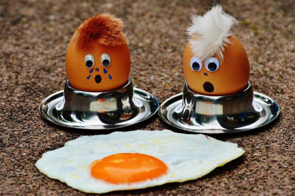 egg_fried_mourning_fun_funny_cute_food_yolk-629512[1].jpg