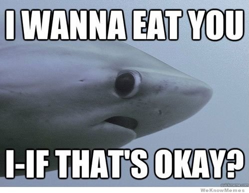 Funny-Shark-Meme-I-Wanna-Eat-You-Image.jpg