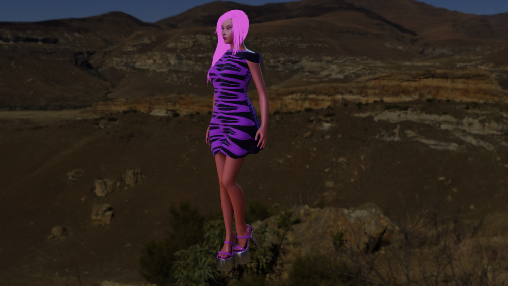 Alivia project shoes and dress .png